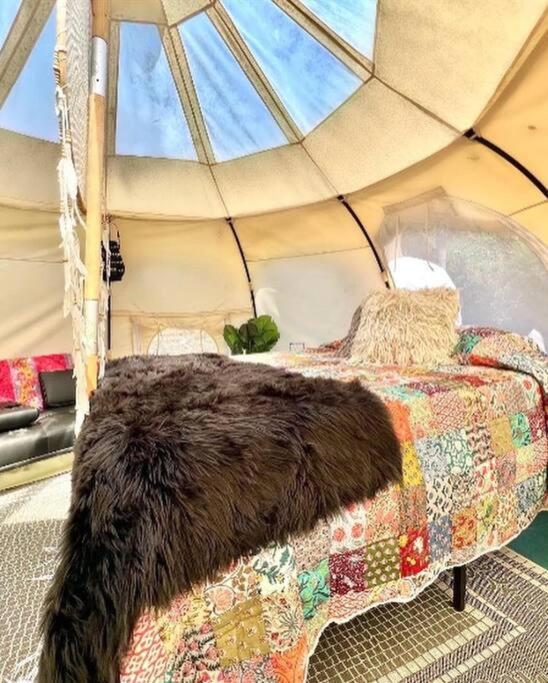 Rogersville The Pisces-A Stargazing, Luxury Glamping Tent מראה חיצוני תמונה