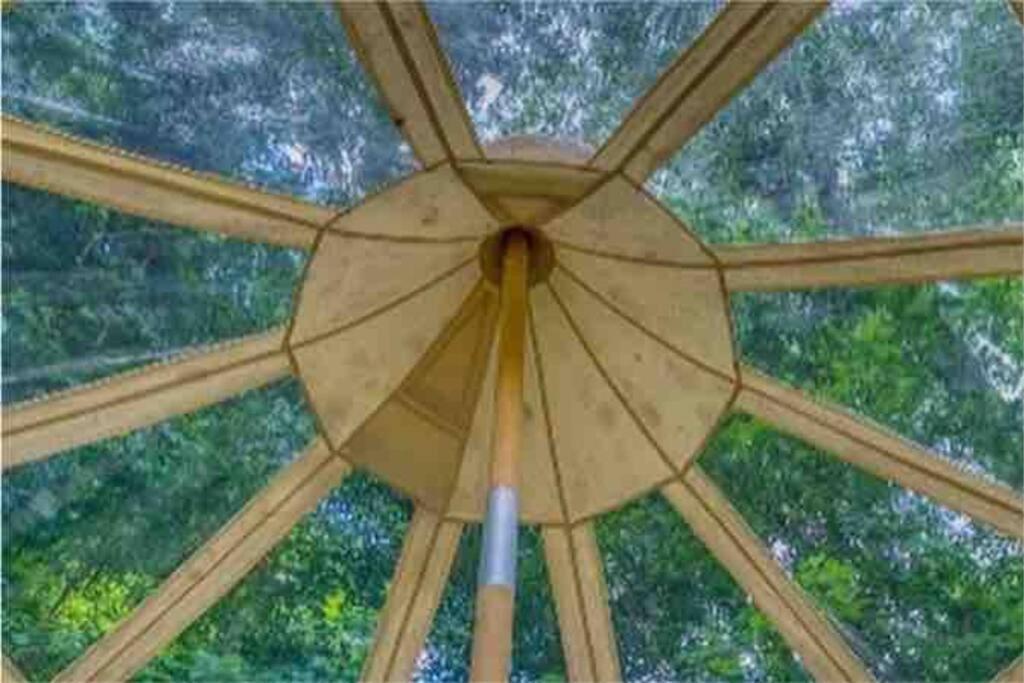 Rogersville The Pisces-A Stargazing, Luxury Glamping Tent מראה חיצוני תמונה