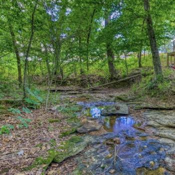 Rogersville The Pisces-A Stargazing, Luxury Glamping Tent מראה חיצוני תמונה